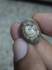 حجر دواوي • يمني