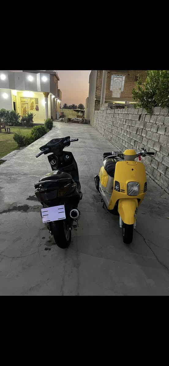 سلام عليكم سكنس فحل نوزل خطين مكينه خير من الله بيها تخم كلجات وصالنصه دراجه مرتبه وكاعده وسعرها مناسب ومراس بفورزه حسب القناعه مكاني بغداد التاجي موجود خاص 💙


**إذا كنت صاحب هذا الإعلان وتريد حذفه لأي سبب، رجاءا أرسل رسالة إلى الدعم الفني**