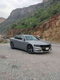 جارجر • ٢٠١٦ • كفالة عامة