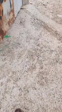 بنجاعلي حولي • ٢٤٠م • بير ارتوازي