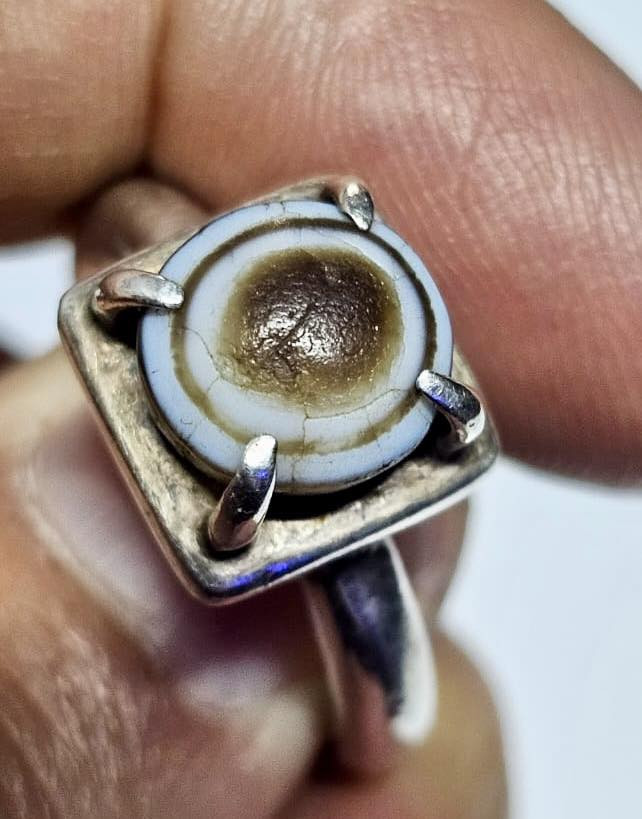 رمضان كريم على الجميع


**إذا كنت صاحب هذا الإعلان وتريد حذفه لأي سبب، رجاءا أرسل رسالة إلى الدعم الفني**