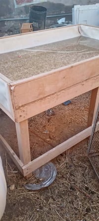 هلاسه دجاج • كامله • سماوه