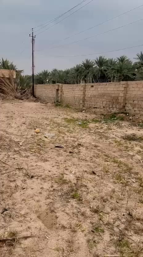 ياالله

للبيع دونم في بغداد منطقه الراشديه

سياده سوامره

سند ٢٥

كل خدمات بيه ماء اساله وماء روئي وكهرباء

حسب طلب شكد تراد طيك دونم وه ٢ وه نص وه ٢٠٠ متر شكد تراد طيك سعر مناسب جدان ترهم ستثمار وه مزرعه متنفس الك وه سكان يرهم ***********
