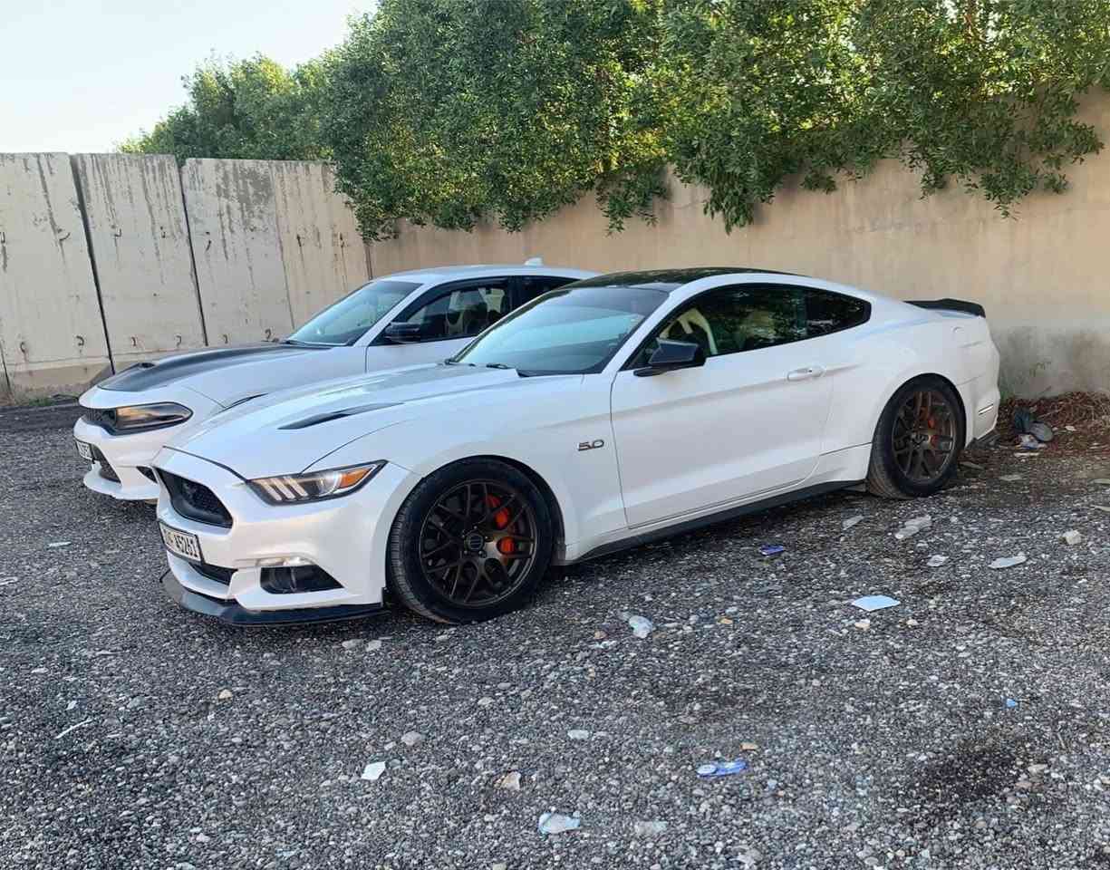 ***********
الصلاة على محمد وال محمد)
الماكو اختها لحد هسه ب العراق كله
white edition two colour (pp3) 2017 موستنك
gt (5.0
(كير عادي)
manual
هذا الحنطور مميز
السياره تجي لونها ابيض (صدفي) وقماره اسود بلاددد السياره مو اي جيتي
تجي بلاد من الشركه هيج حشوه مكينه بلاد تختلف
كلج مكلاود بلاد
مقاعد بلاد ريكارو
شورت شفت
فجوج برمبو 6 بستم
كيجات بل دشبول
ماشيه 72 الف مايل
السياره كير مكينه كلج بلادي برغي ممفتوح منهم كلهم وكلشي مذكور بلاد واصل
السياره نقص برغي مابيها يشهد اللّٰه من حداديه ولايتات وتايرات وصبغ ويل السياره حادثها فقط جاملغ السايق ونص البنيد يعني السياره فقط قطعتين صبغ ا
السياره عليها وياله RTR اصليات حجم 19
السياره عليها دبات ه ريمونت
