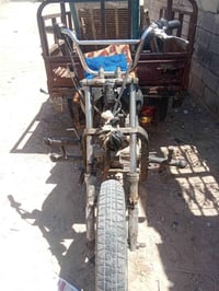 ستوته • للبيع • نجف