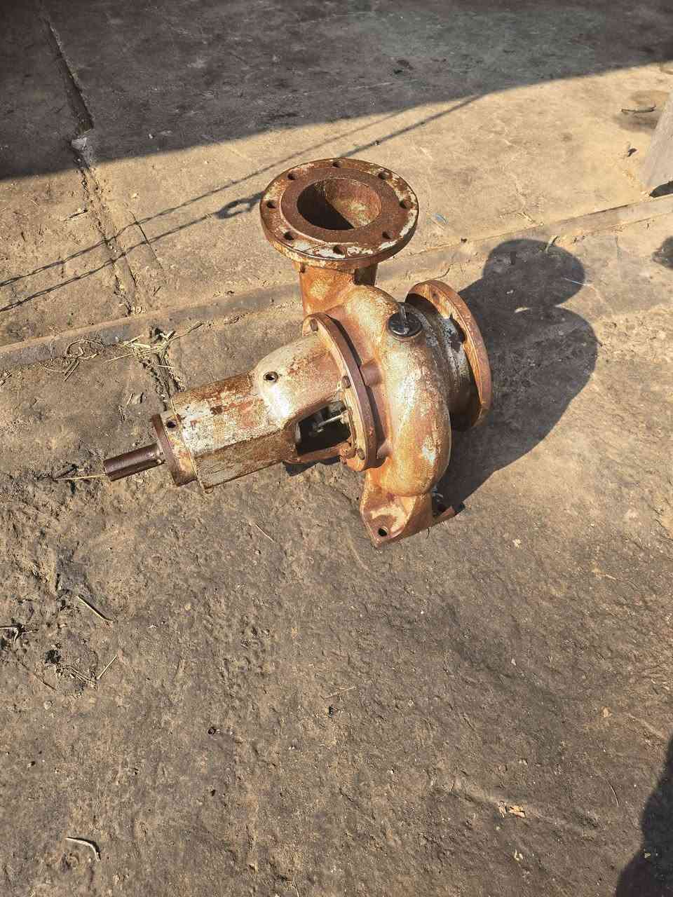 للبيع خنزيرة تونسية  6x5   بشارة براص بلادية  السعر ٣٥٠ الف العنوان حدود واسط بغداد قرب سيطرة الج اثير  ***********. اسيا ***********
