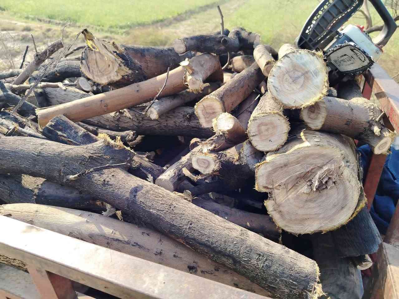 السلام عليكم خشب مال شوي يابس شرط يابس الكونية ب ٤ الاف الستوتة ب ٣٠ واصل لباب بيتك تجي تاخذها مني ب ٢٥
مكاني تاجي حي الحسن العسكري *********** واتساب واتصال وتوصيل
