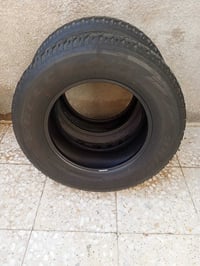 زوج تاير • حجم ١٧ • تايلندي ٢٤