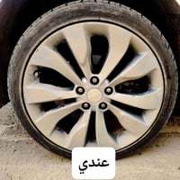 ويل ١٩ • ماليبو بريمر • مراوس ١٧/١٨