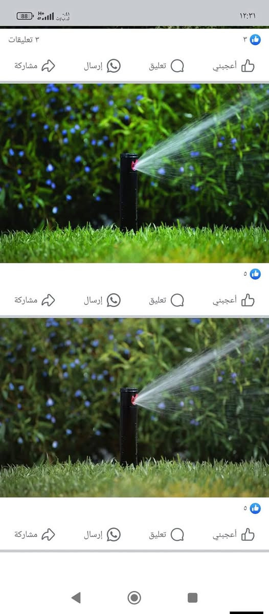 السلام عليكم مستعدون لتأسيس الحدائق المنزلية بأحدث النوزلات وبأسعار مناسبة والمحل قرب محل ابو سلام رقم الموبايل ***********
