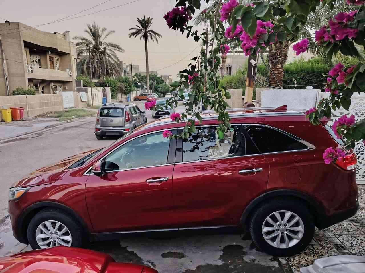 السلام عليكم حبايب
سورنتو 2017 جديده بووضع الشركه
لون مميز
4 سلندر 2400 
كلين بدون حادث بدون صبغ بدون فتح
ماشيه 80
رقم بغداد دولي وبسمي 
سياره كلش جديده
تخم تاير جديد توني شاده
صدر أمامي وخلفي جديد
ادامه كامله حتى الجيك طافي
تبريد قطعتين ثلج
مودات قياده
شاشة وكامره
تحكمات ستيرن
لدات نهاريه
وباقي المواصفات معروفه
السعر بلااااااش 169 او مراوس حسب القناعه
مكاني بغداد حي الجامعه ت***********
