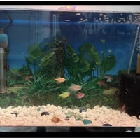 حوض • ٦٠×٣٠×٤٠سم • كركوك