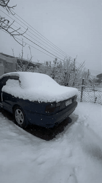 پۆتۆن بۆ فرۆشتن گێر تۆماتیک گێر مەکینە بەشەرت سەنەوی عەسڵی بەشەرت ئەوەلیات ساردو گەرمی و کارەبای بەشەرت هەموو گیانی ئیش ئەکات نرخ٢٧ گەلاو معامەلەشۆێن سلیمانی گۆڕینەوەش ئەکەم لەسەر دل گرتن ***********
