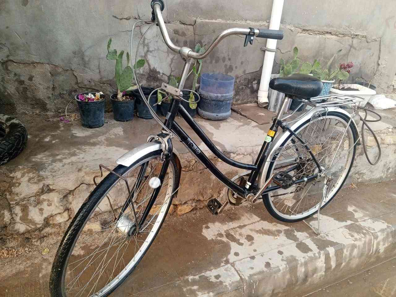 بايسكل نظيف للبيع 
سعر تواصل خاص


**إذا كنت صاحب هذا الإعلان وتريد حذفه لأي سبب، رجاءا أرسل رسالة إلى الدعم الفني**