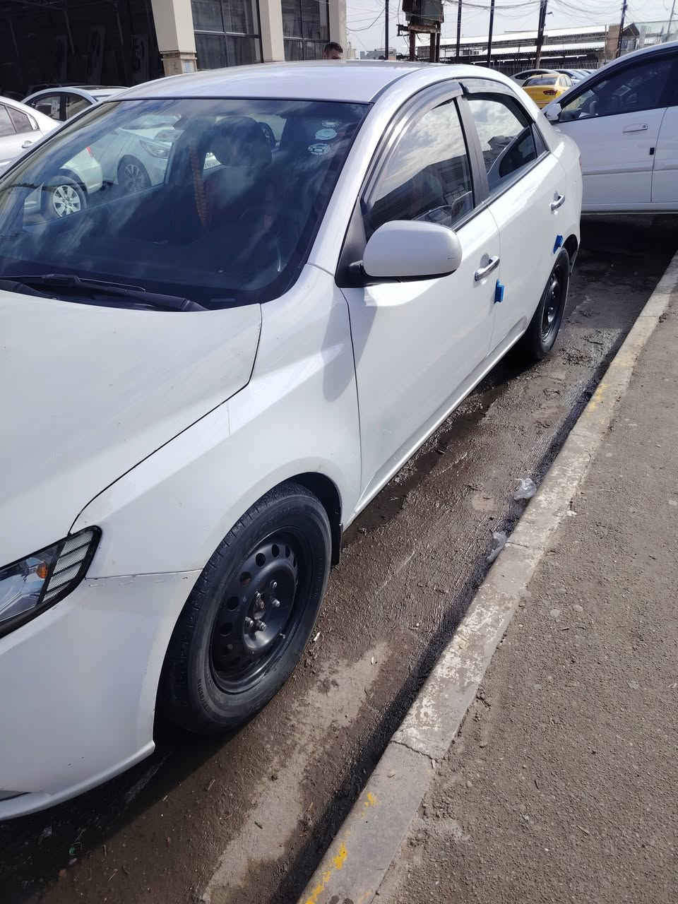 كيا سيراتو 2011 رقم اربيل  سنويه صارلها 4 اشهر ساقطه شرط التحويل ضرر بوند وچاملغ بوند مبدل اصلي بدون صبغ وچاملغ اصلي صاحبها بلموصل عندي وكاله عامه و كابون بانزين بيها وبيها منضومة غاز ايطاليه السعر 97 $  *********** //***********
