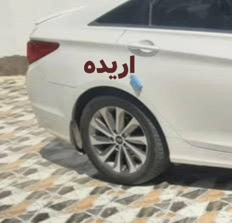 سلام عليكم اريد مراوس على الويل اعندي وانطي فرق ب الرمادي حصرا
***********
