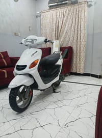 اكزز • فحل • مامفتوحه