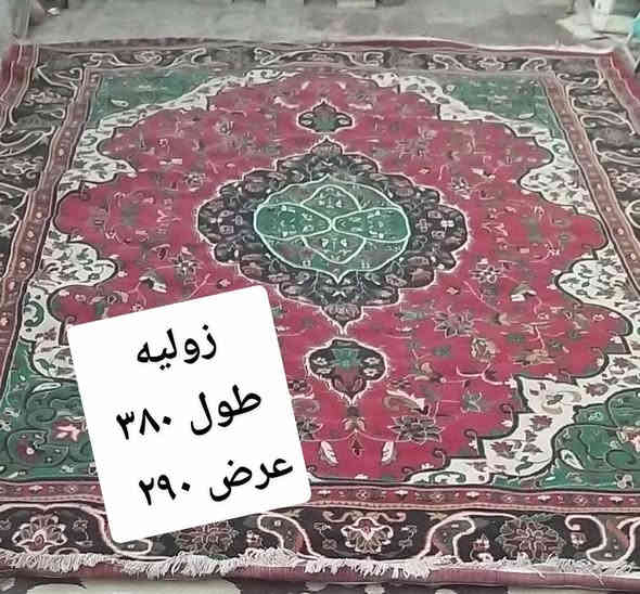 زوالي 
للبيع كلمن وسعرها 
حله شارع 60 شارع الحسينيه 
رقم هاتف
***********
