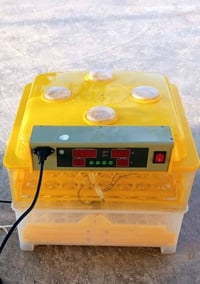 فقاسة • ١٢٠ بيضة • كركوك