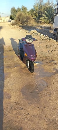 دراجة فراشة • نجف