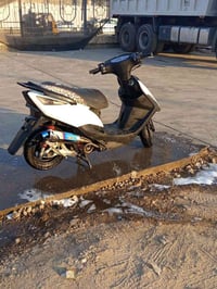 ماكس ثعلب • بوشه ٥٨ونص • حلزوني