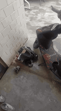 بوليسي s مستعجل على بيعه
دراجه بلاد اي عيب مابي دراجه صفر نص هندر نكره سلف بلشرط 
سعر 650وبي مجال 
*********** متوفر خط واتساب
