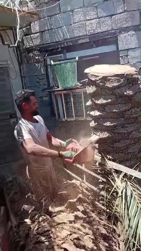 السلام عليكم يوجد قطع أشجار نخل رقم الموبايل ***********
