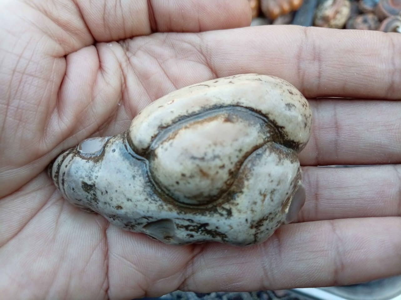 انواع الأحجار متوفرة
تواصل واتساب *********** بغداد, العراق
