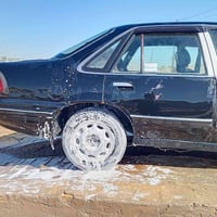 برنس • ١٩٩٥ • تحويل مباشر