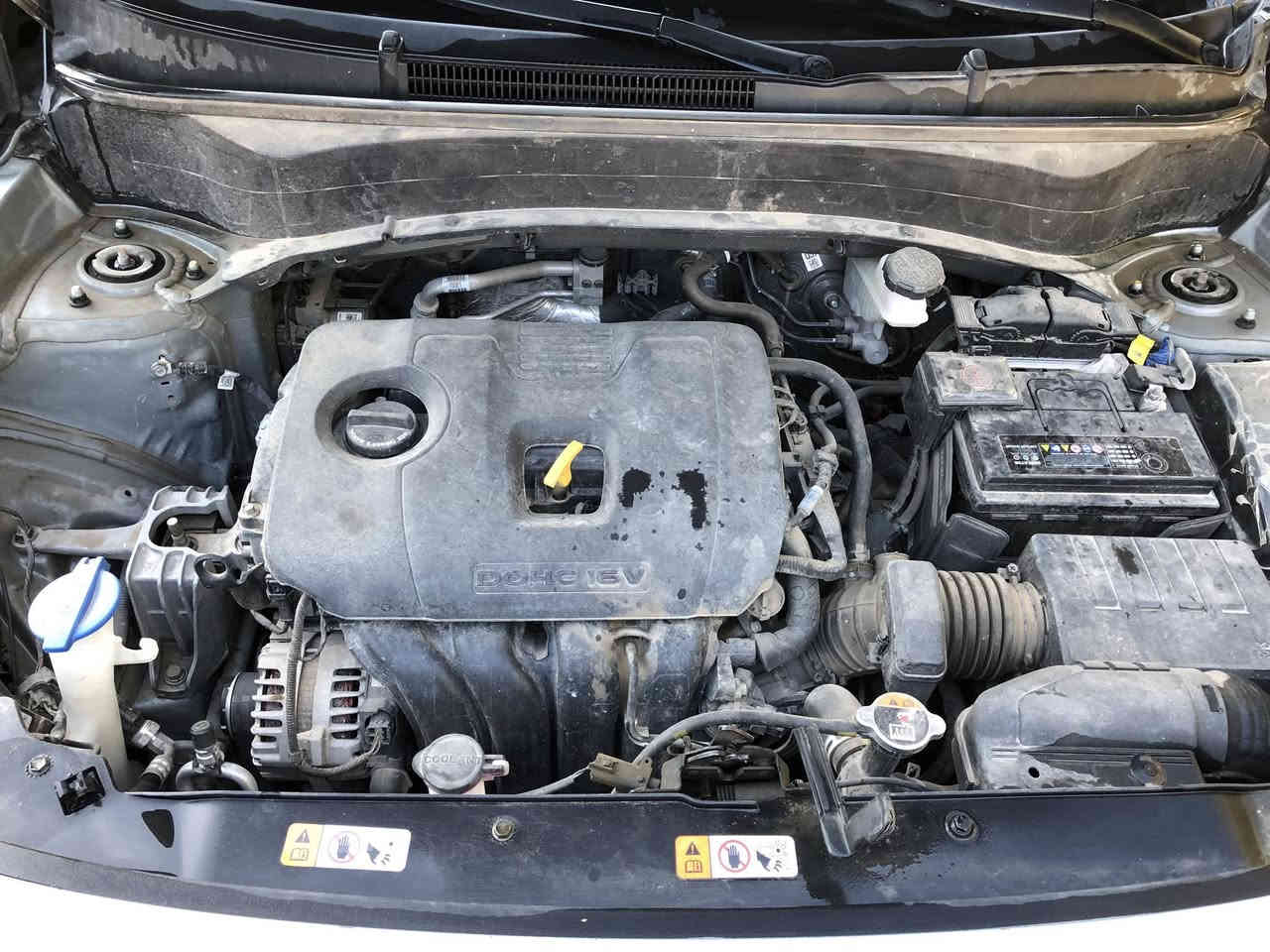 السلام عليكم 
كيا سلتوز 
EX
2024 
لون سلڤر 
حادثها بنيد مبدل اصلي ومصبوغ بدون دواخل بدون شواصي بيها ايرباگ الستيرن طالع والعكس السائق 
بصمة 
تشغيل عن بعد 
تحديد مسار 
نضام منحدران 
نقطة عمياء 
قفل سرعة عداد دجيتال 
محرك دوش 2000 
السيارة نضيفة جداً 
رقم ديالى 
السعر 173 
للاستفسار *********** 
يوجد واتساب
