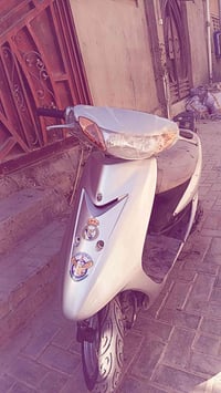 ستين • عصفورية • شغالة