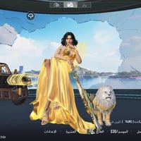 حساب ببجي • مستوى ٨٦ • ٣٢ سلاح