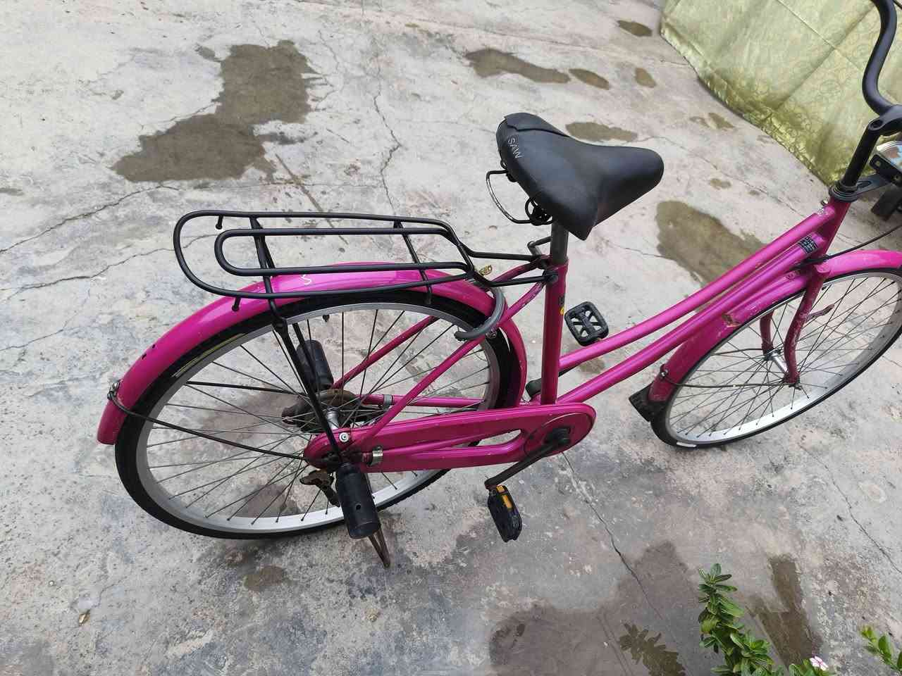 مكاني كربلاء نطي سعرك وخذه


**إذا كنت صاحب هذا الإعلان وتريد حذفه لأي سبب، رجاءا أرسل رسالة إلى الدعم الفني**