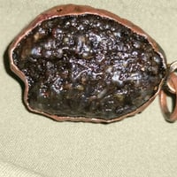 خرزة • زوعة الحية • فوائد