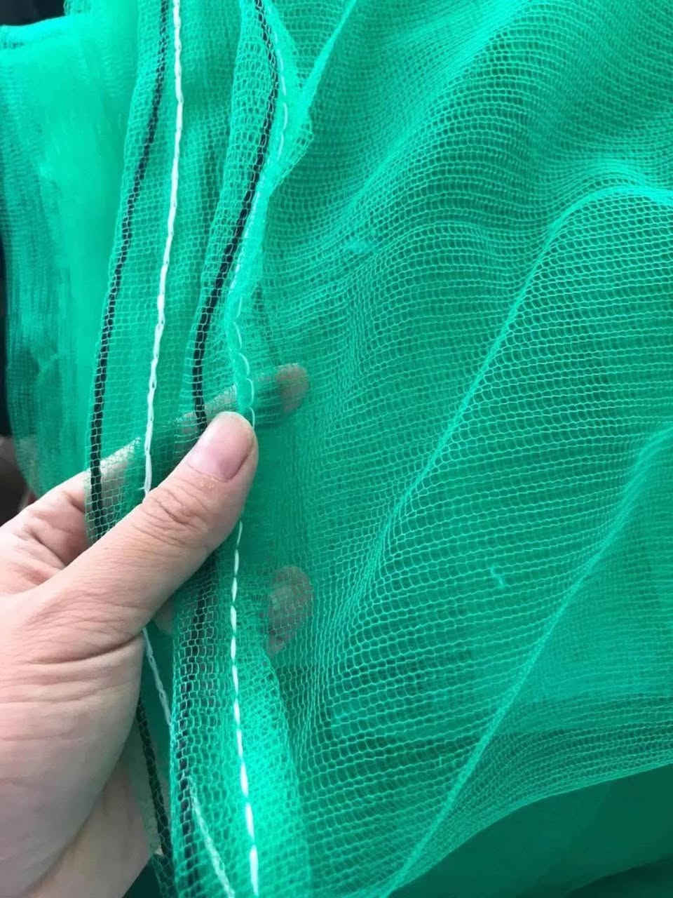 🌴 متوفر لدينا أكياس عِثق النخيل بجودة ممتازة 🌴
أسعار جملة _ ومفرد
قياس ٧٠ × ٩٠ 
حل عملي وفعّال لحماية عثوق النخيل والمحافظة على جودة الثمار طوال الموسم ✅
🔹 مميزات أكياس العِثق: ✔️ تحمي التمر من الطيور والحشرات والأتربة
✔️ تساعد على تقليل تساقط الثمار
✔️ تهوية ممتازة تمنع الرطوبة والتعفن
✔️ خامة قوية تتحمل الشمس والحرارة
✔️ مناسبة لمختلف أنواع النخيل
✔️ متوفرة بأحجام متعددة وجملة ومفرد
📌 مثالية لأصحاب البساتين والمزارعين الباحثين عن إنتاج أنظف وجودة أعلى للتم    
💰 أسعار مناسبة للجملة والمفرد

للاستفسار والحجز مراسلة الصفحة أو الاتصال: 📞 ***********

المكان : ذي قار الفجر _  فلكه الصدرين _ مقابل اسواق نصير خشان 
🌴 مكتب حيدر الركابي الزراعي— كل ما يحتاجه المزارع بمكان واحد
