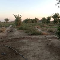 القاسم العمادية • ٣ دونم • طابو زرعي