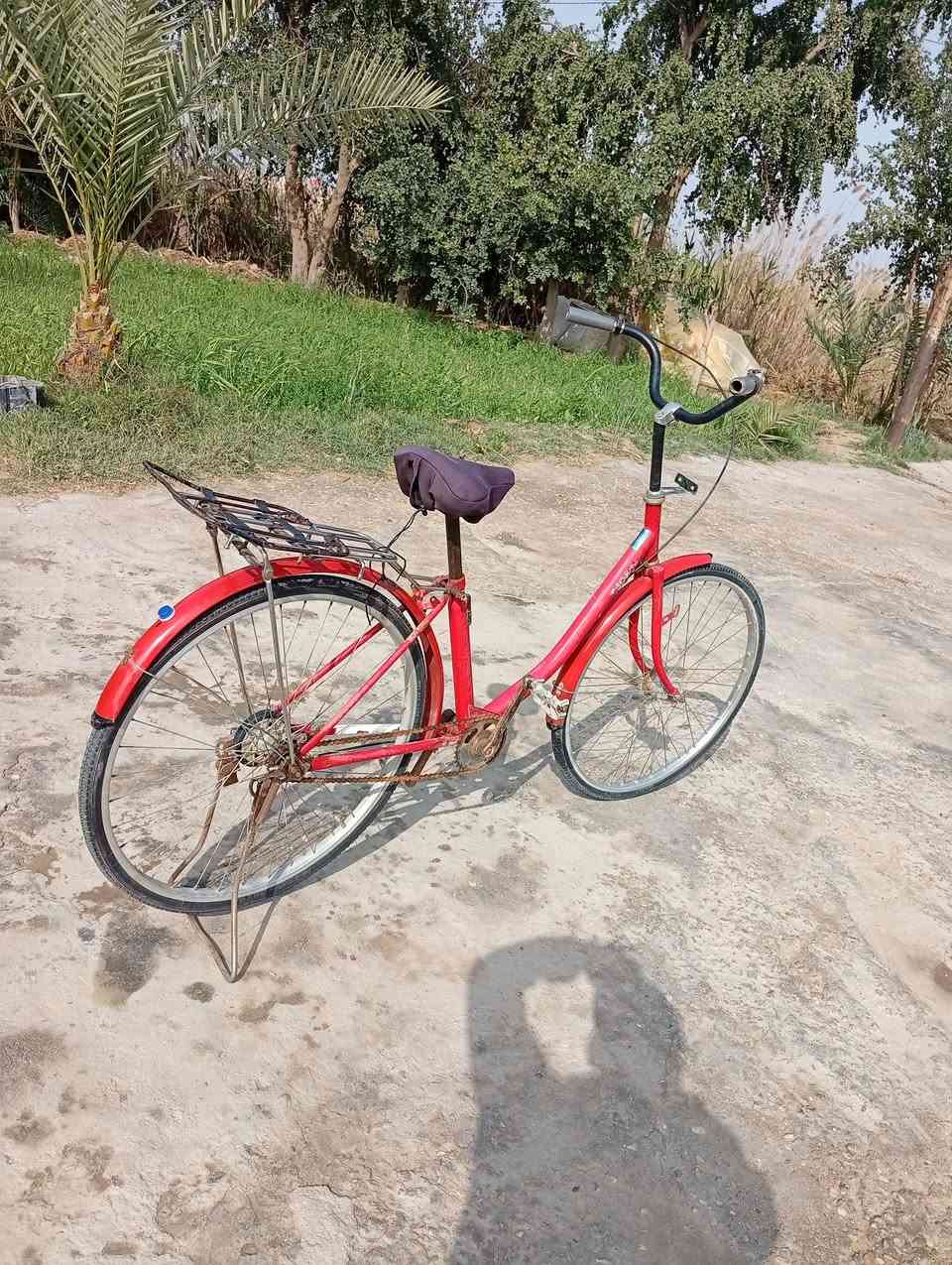 سلام عليكم بايسكل
لبيع سفسار خاص


**إذا كنت صاحب هذا الإعلان وتريد حذفه لأي سبب، رجاءا أرسل رسالة إلى الدعم الفني**