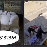 جص • الفلوجه الكرمه • فحص