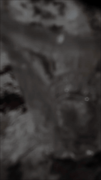 باسكل للبيع حجم 26  السعر 80وبي مجال المكان ديالى بعقوبه تحرير  الاتصال على الرقم ***********
