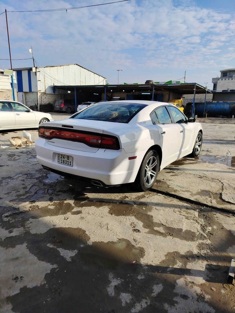 جارجر 13  ابيض صدفي
حادث جاملغ وبنيد

مكفوله كير مكينه اكسن حداديه

رقم دهوك انكليزي 

شاشه جبير 

كير عصه

السعر 162

موجوده في الشطره

للاستفسار 

***********
