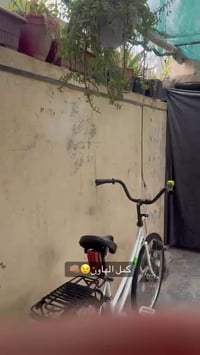 باسكل • ما بيه عيب • كركوك