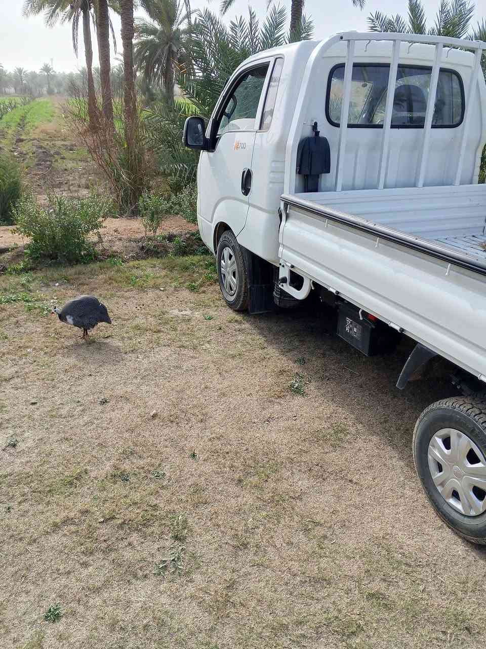 كيا حمل للبيع موديل 2025 ماشية 6000 رقم كربلاء
الهاتف ***********
