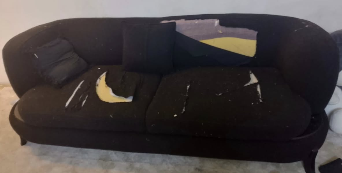 مرحبا
عندي تخم ايطالي 
ثنين كبار ٤مقاعد في ٤
وثنين منفصلات
واتساب/***********
وحده بيهن متشكك قماشها
سعرهن ٦٥٠ مكاني بغدادالاعظمية
