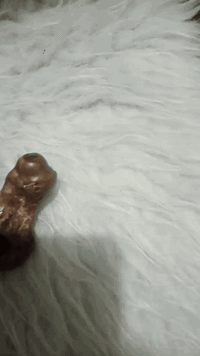 حجر سلطاني لبيع 07830866617