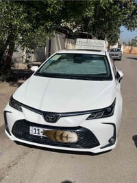 كورلا هايبرد • ٢٠٢٤ • شارع فلسطين