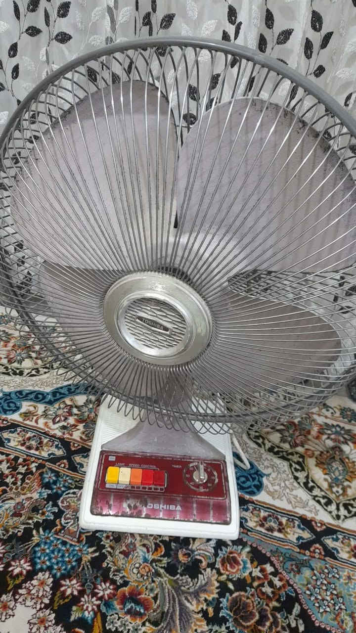 ماصات خشب كلش قويات وزن ثكيل السعر 150 مكنسه كهربائيه شفط مالتها كلش حلو السعر 60الف  بنكه تشتغل على كهرباء ب15الف مكاني كربلاء حي الحسين عندي توصيل 5الف بس كون موبعيد


**إذا كنت صاحب هذا الإعلان وتريد حذفه لأي سبب، رجاءا أرسل رسالة إلى الدعم الفني**