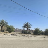 نجف كوفه • دونم • طابو زراعي