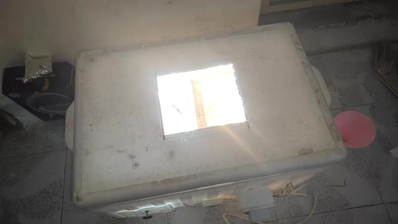 متاح فقاسه جديده + حاضنه الحجم الكبير تشيل 100 بيضه علي بس تقلب تفاصيل بالفيديوا ***********
