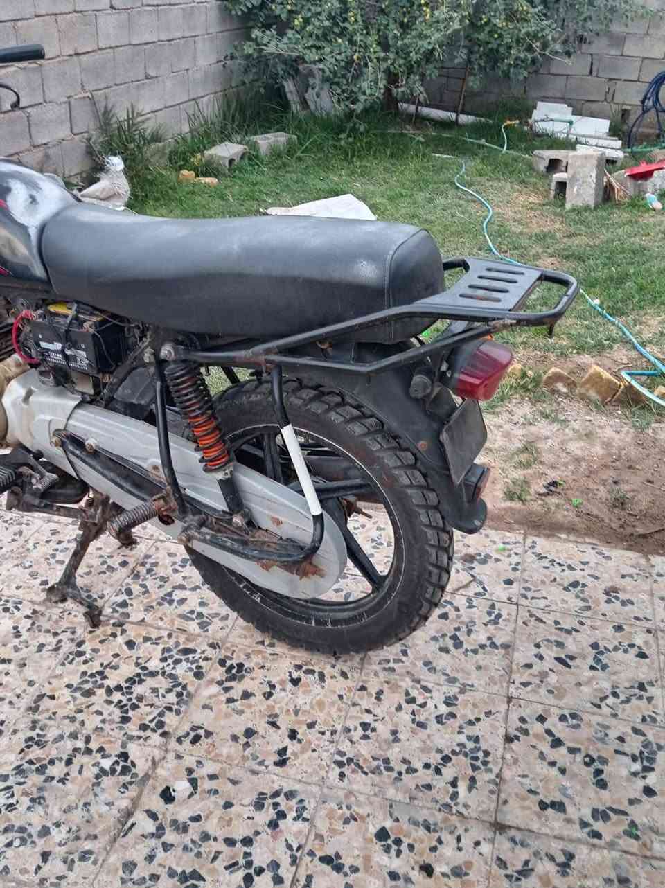 بوكسر  هندي  بدون اوراق  المو شراي لا يتعبني ولا تعبه 
*********** موجود وتساب للشراي
