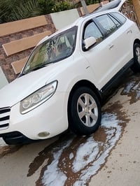 سنتافي • ٢٠٠٨ • ٧راكب